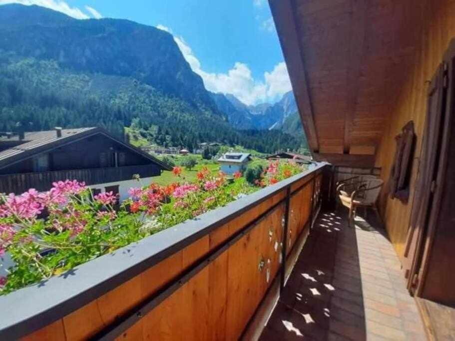 La Mansarda In The Dolomites Jacuzzi Lägenhet Santo Stefano Di Cadore Exteriör bild